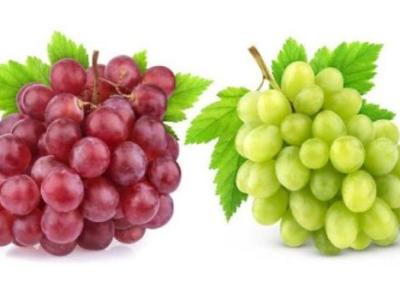 خواص و فواید انگور برای سلامتی