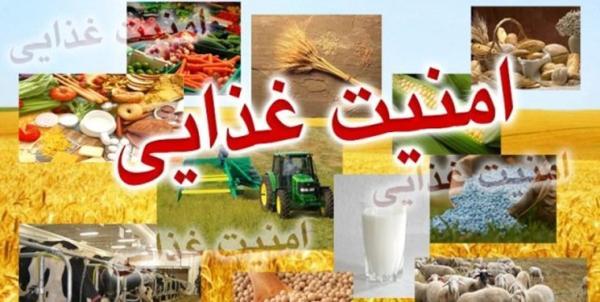 امنیت غذایی از محوری ترین برنامه های وزارت جهادکشاورزی